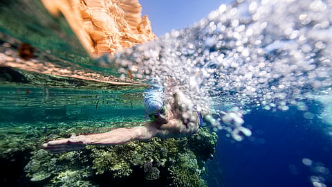 Dodging sharks and ‘koeksister waves’ to shine a light on coral reefs – Lewis Pugh