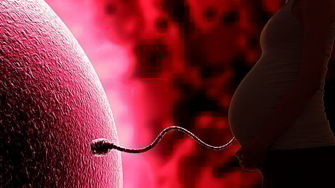 Alarming decline in sperm counts raises concerns about male fertility – From the FT