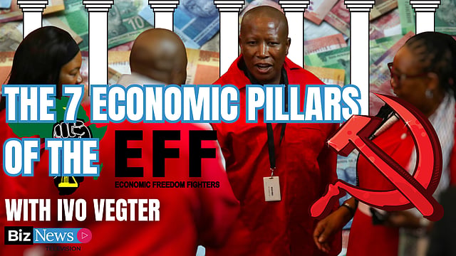 Type Eff The 7 Economic Pillars of the EFF with Ivo Vegter