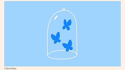  FT: With Bluesky, the social media echo chamber is back in vogue