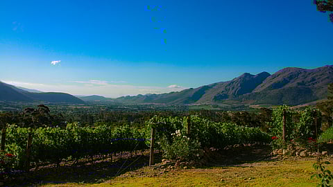 The land illusion: South Africa’s property rights crisis 