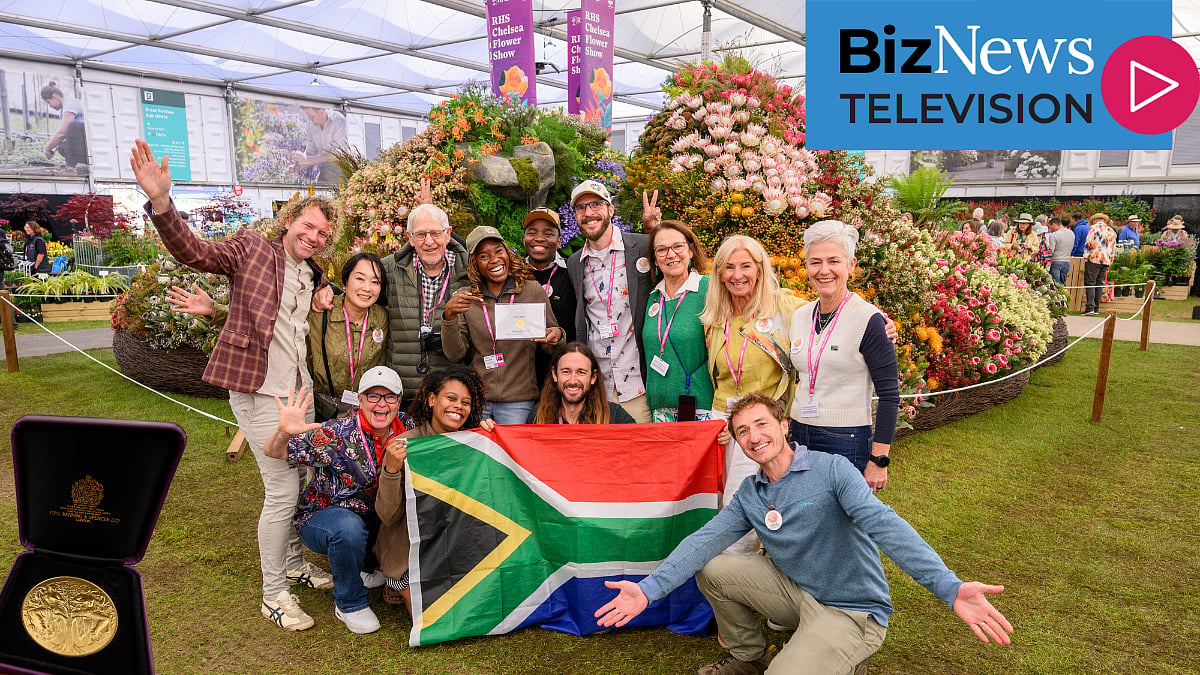 Leon Kluge's fynbos triumph at Chelsea - with foxes sipping rooibos