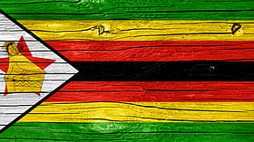 Cathy Buckle - Zimbabweans' exodus from SA: “We are no longer wanted here.”