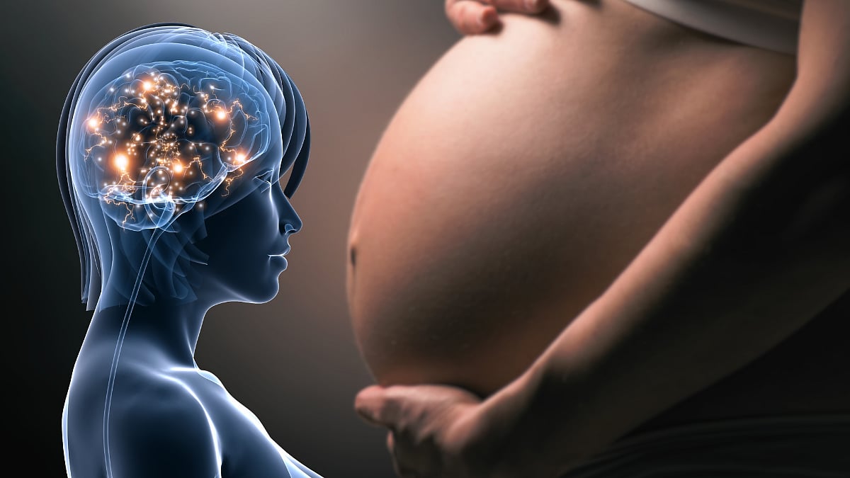 🔒 Study reveals pregnancy’s remarkable impact on the brain