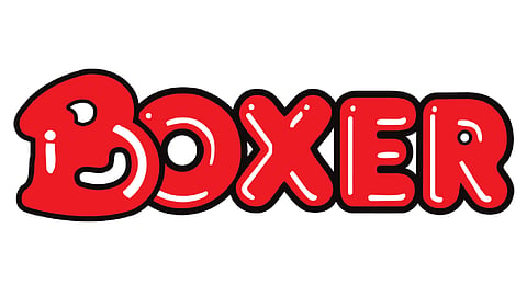 Pick n Pay Boxer listing
