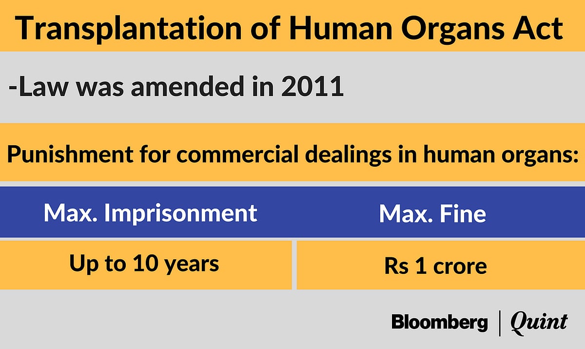 Kidneys For Sale: The Great Indian Scam
