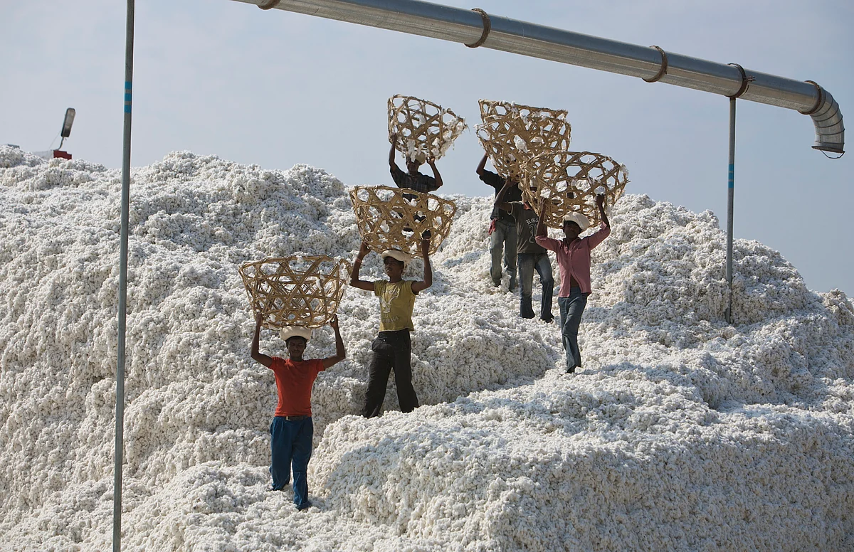 Men work in a cotton ginning mill in Daboi, India. (Photographer: Adeel Halim/Bloomberg News)