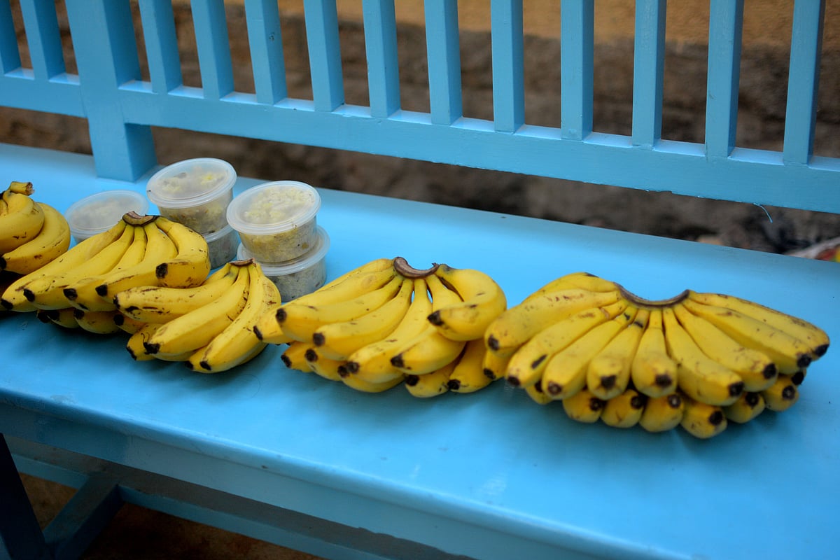 

(Image: Cuddles Foundation)