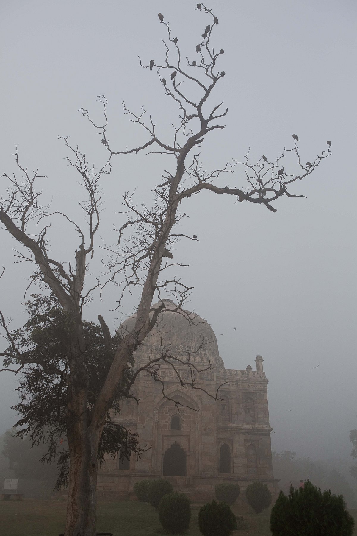 (Photo: Natisha Mallick/The Quint)
