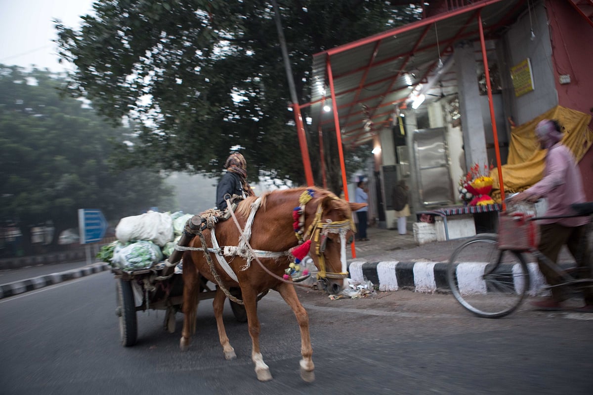 (Photo: Natisha Mallick/The Quint)