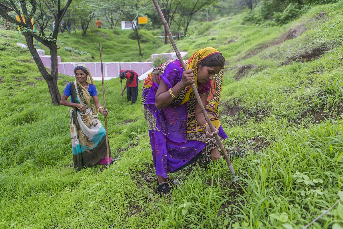 Women plant neem and other seeds as part of a forestation project to stop rainwater flows in Dewas, Madhya Pradesh. (Photographer: Prashanth Vishwanathan/Bloomberg)