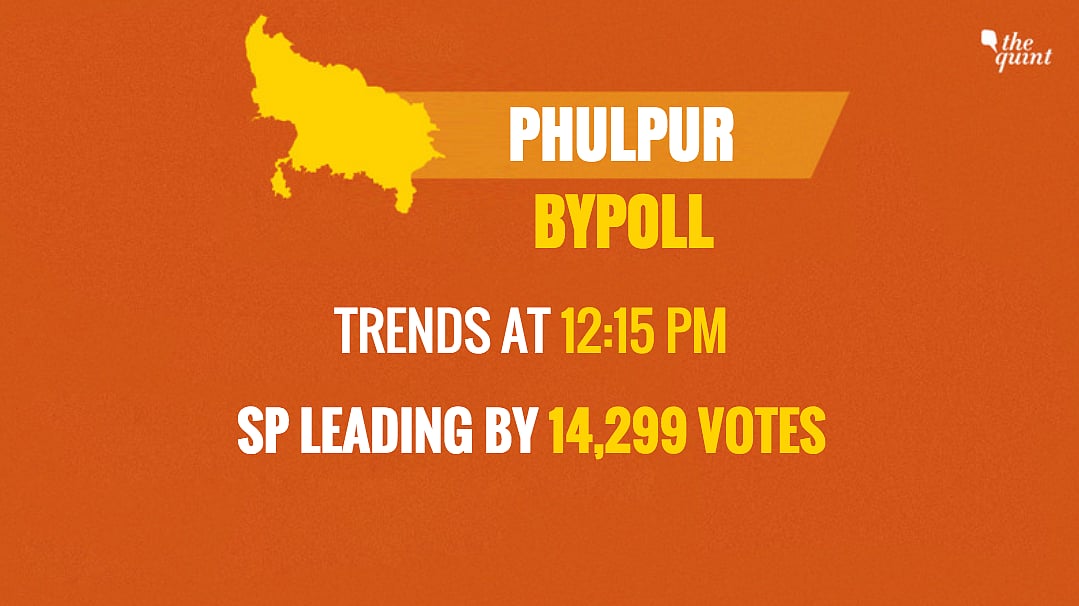 Phulpur Bypoll: SP Wins by a Margin of 59,460 Votes, BJP Comes 2nd