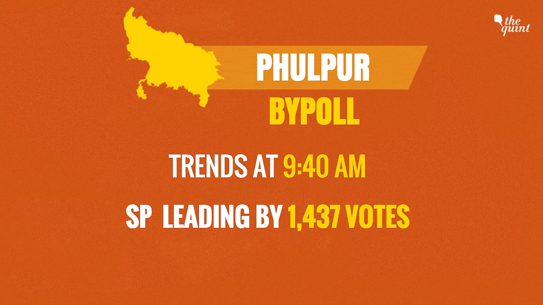 Phulpur Bypoll: SP Wins by a Margin of 59,460 Votes, BJP Comes 2nd