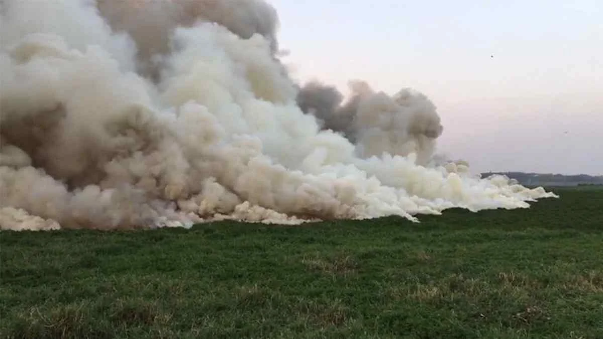 Smoke around the Bellandur lake in Bengaluru. (Source: The Quint)