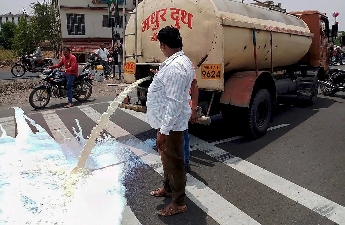 Farmers from Ahmednagar spill milk down a road during a state-wide protest, in Pune. (Source: PTI)