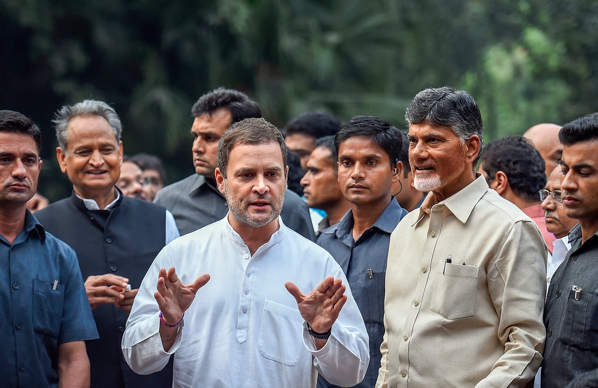 Rahul Gandhi with N Chandrababu Naidu in New Delhi, on Nov. 1, 2018. (Photograph: PTI)