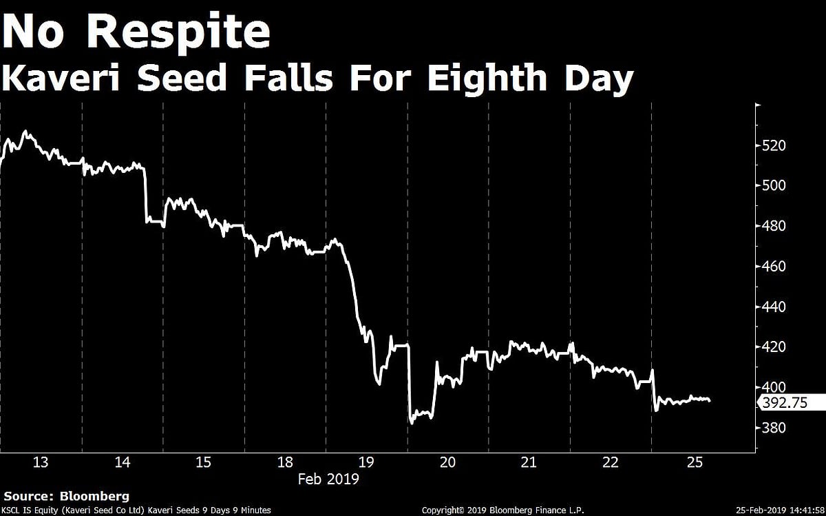 Sensex Resumes Rally After One-Day Blip