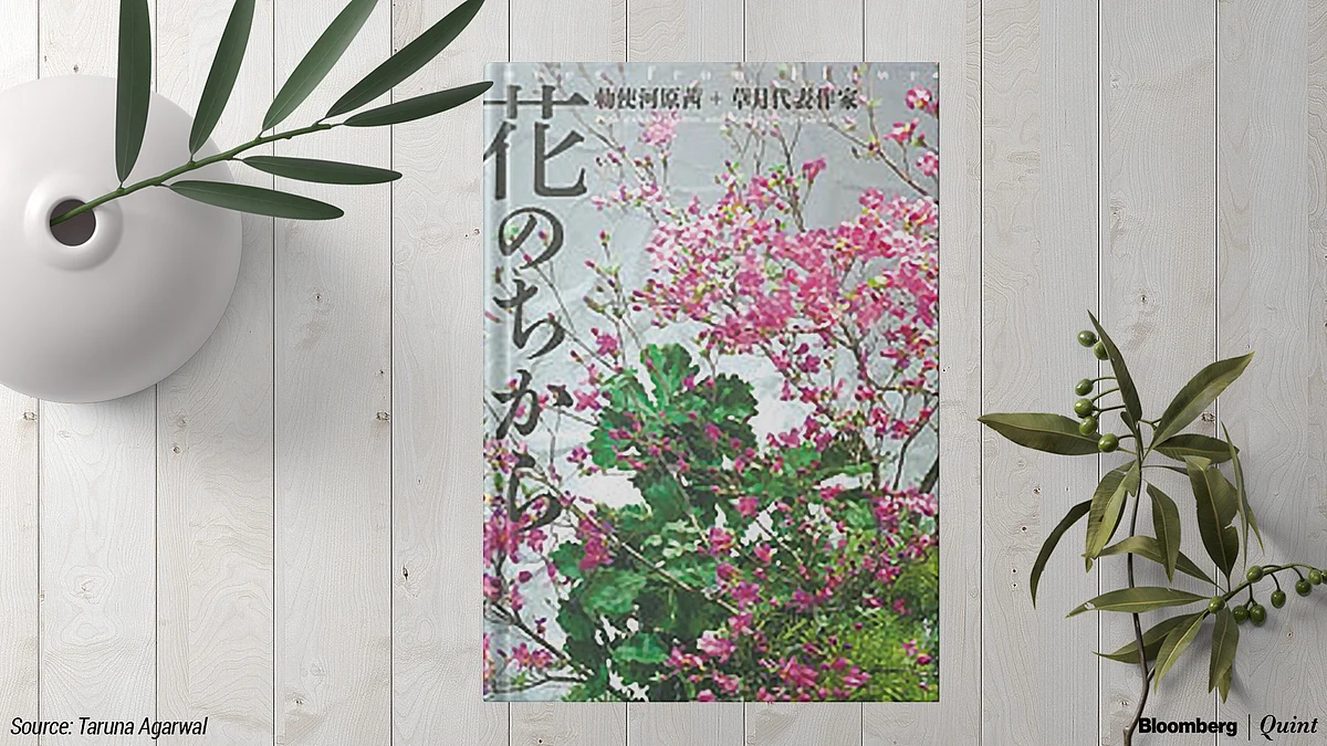 From Bonsai To Ikebana: Books For Your Garden