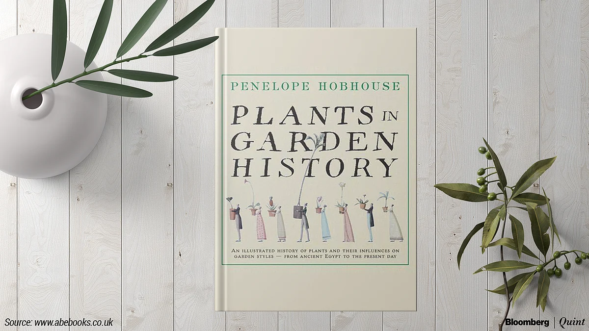 From Bonsai To Ikebana: Books For Your Garden