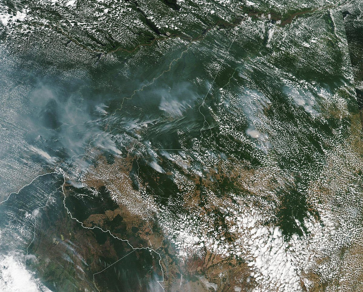 This satellite image provided by NASA on Aug. 13, 2019, shows several fires burning in the Brazilian Amazon forest.  (Photograph: AP/PTI)