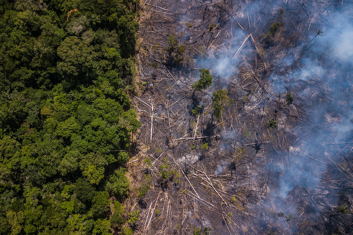 Smoke rises above the Amazon rainforest,  in this aerial photograph taken near Jundia, Roraima state. (Photographer: Dado Galdieri/Bloomberg)