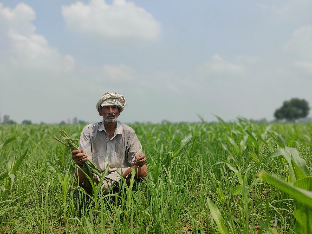 Farmer Hukum Singh Rana sitting in the fields in Ballah Village in Haryana. Image Courtesy: Parth MN
