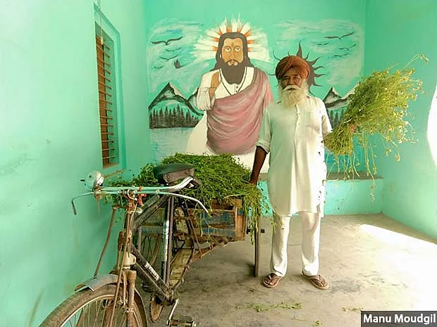 Avtar Singh of Niyamatpur village in Sangrur district of Punjab with a cart full of green fodder from the village common land. Avtar Singh spent most of his life working on lands of big farmers. Today, he jointly tills village common land along with other landless. 