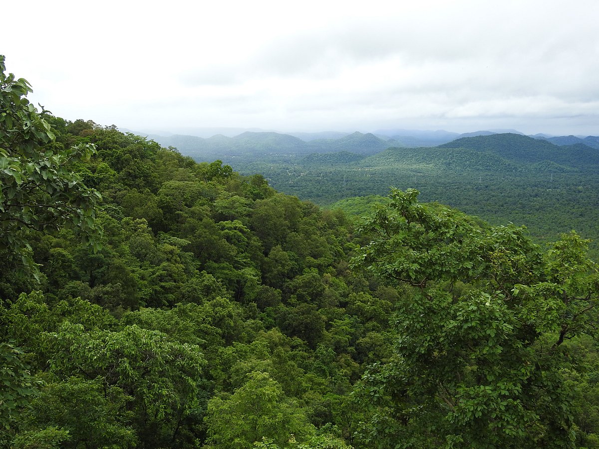 The mineral-rich forests of Chhattisgarh. To be mined, or to be spared? (Photograph:  Neha Sinha)
