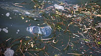 A plastic water bottle floats in a lake. (Photographer: Cole Burston/Bloomberg) 