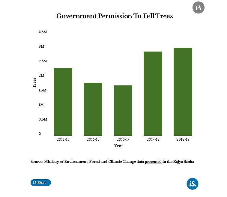 How India Managed Its Forests, Water And Waste In 2019