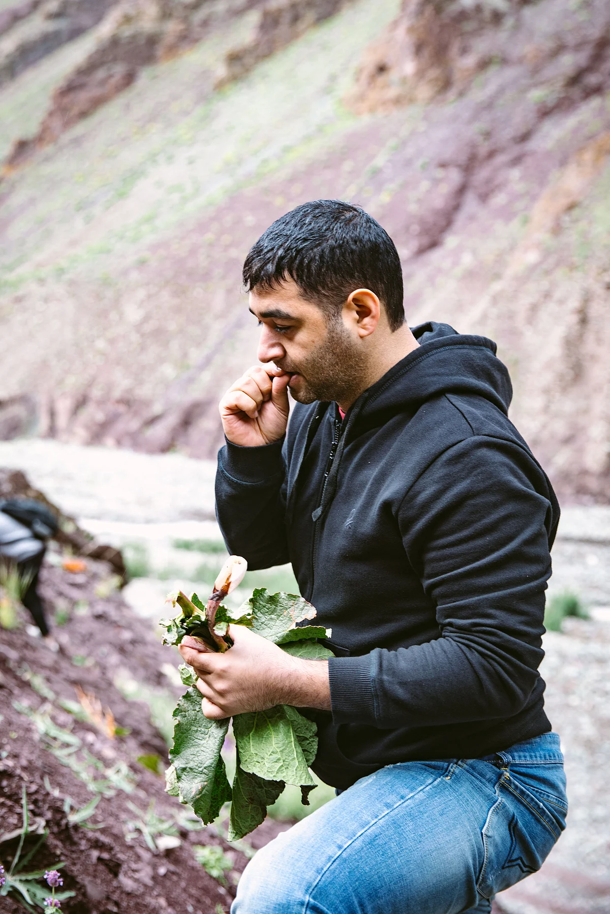 On the Shang Sumdo via Martselang route the Masque team went looking for wild rhubarb, guided by Naropa fellows. (Image courtesy: Athul Prasad/Masque) 