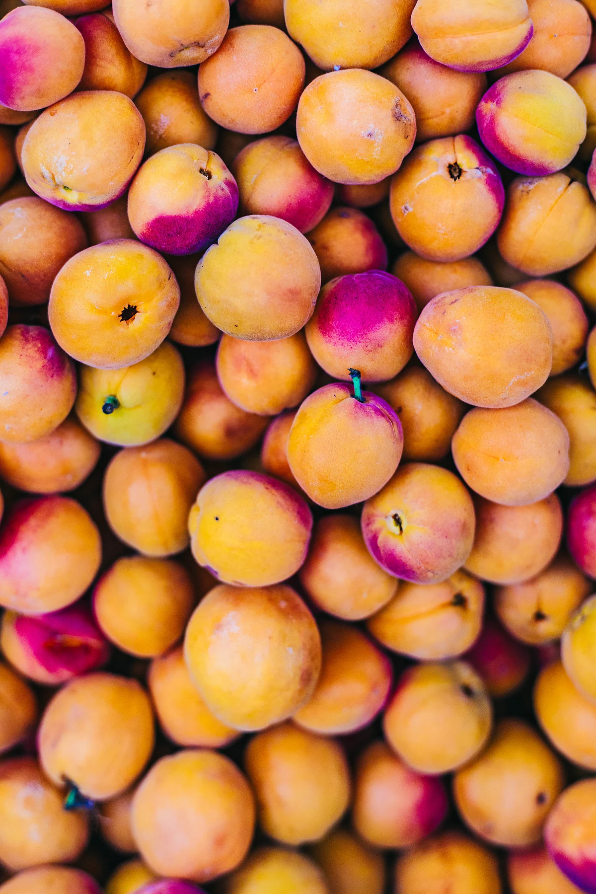 Apricots, locally known as khubani.( Image courtesy: Athul Prasad/ Masque) 
