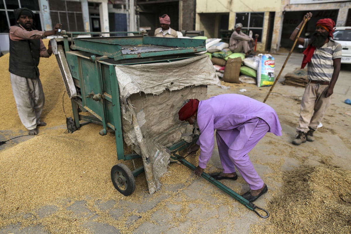 Farmers clean rice paddy at an Agricultural Produce Market Committee wholesale market in Jalandhar, Punjab on Saturday, Jan. 21, 2017. Photographer: Dhiraj Singh/Bloomberg 