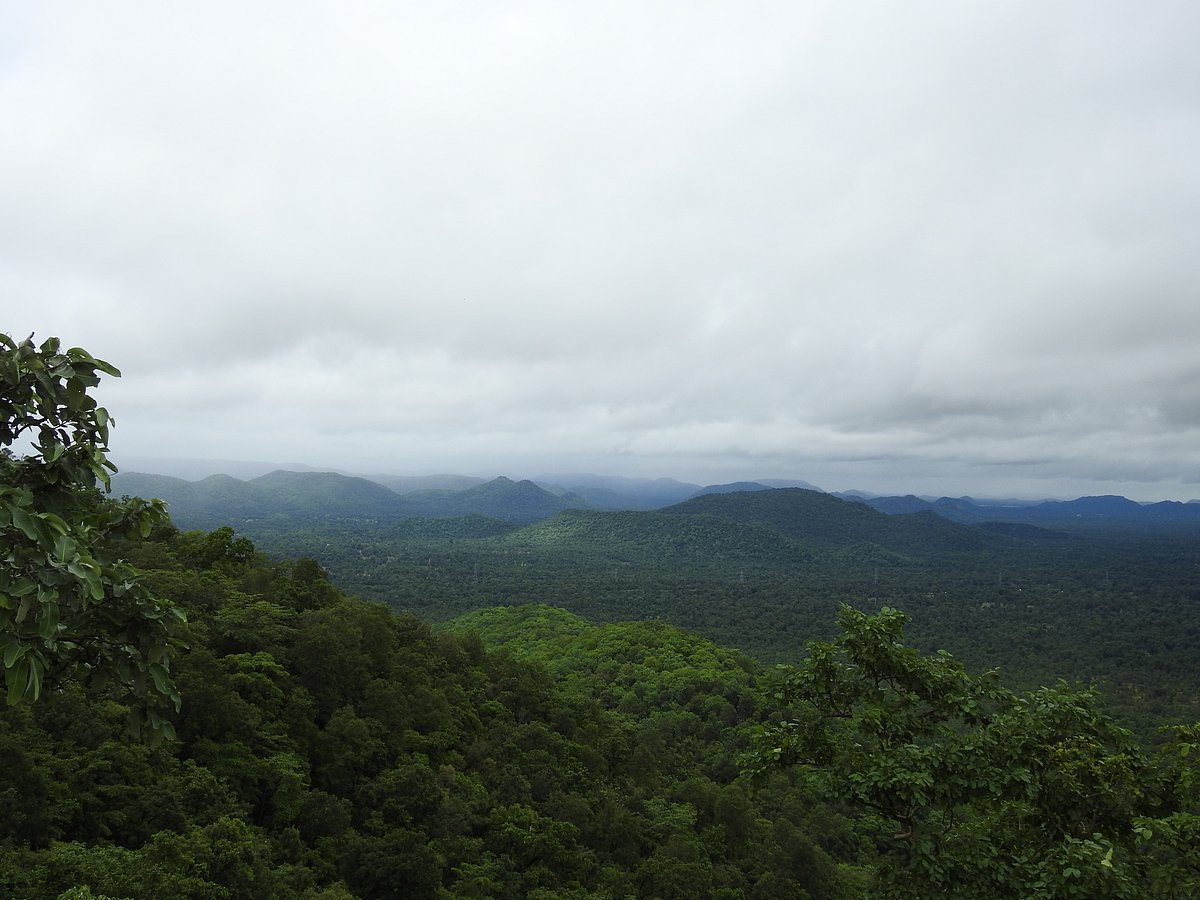Forest landscape in Chattisgarh, a mineral rich area. (Photographer: Neha Sinha)