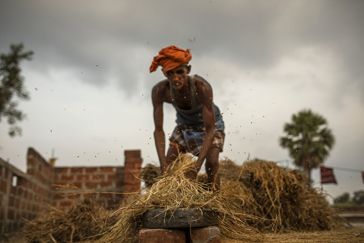 A farmer threshes wheat by hand on the terrace of his home at a village in Bihar, India. (Photographer: Prashanth Vishwanathan/Bloomberg)
