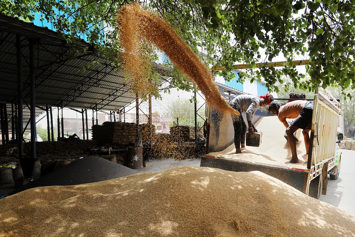 Workers scoop wheat from a truck at a wholesale grain market in Rewari, Haryana, on May 8, 2019.(Photographer: T. Narayan/Bloomberg)