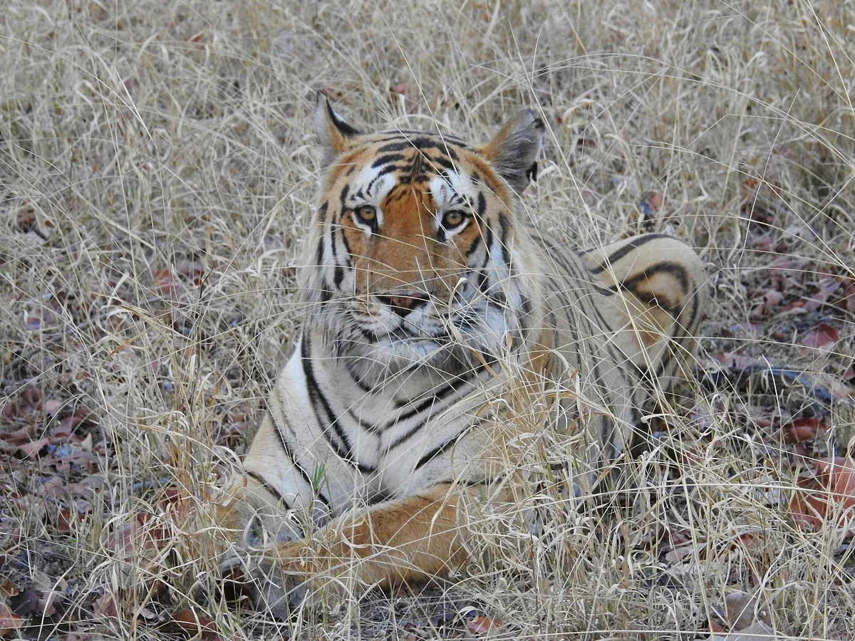 (Photographer: Neha Sinha)