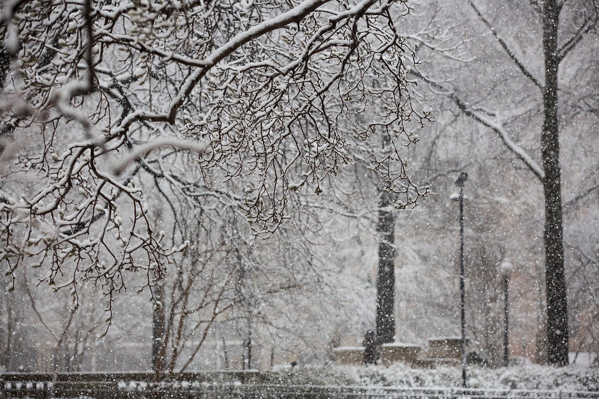 U.S. Power Crisis Leaves Millions Cold, Dark as Blackouts Expand