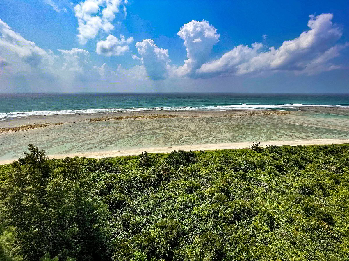 <div class="paragraphs"><p>The Andaman and Nicobar islands host among the richest tropical forests in India.&nbsp;(Photograph: Adhith Swaminathan, Via Neha Sinha)</p></div>