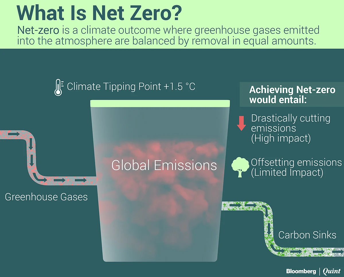 What Net-Zero Means And How Indian Firms Plan To Meet Targets