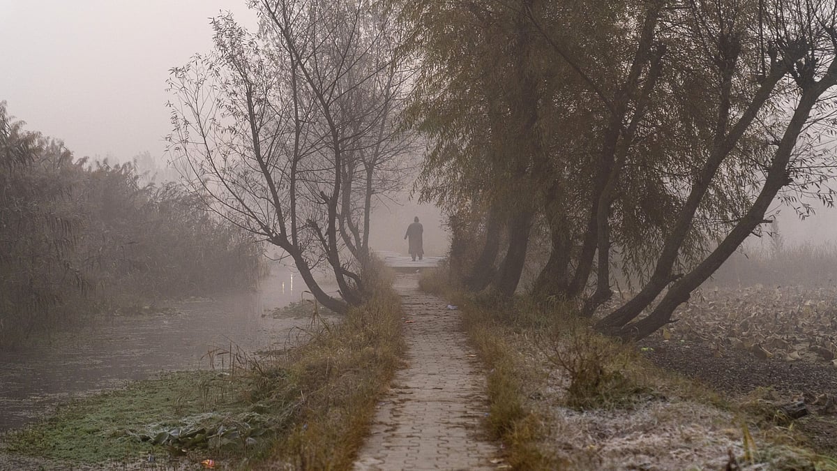 <div class="paragraphs"><p>A pedestrian walks along a path next to a causeway at the Dal Lake in Srinagar, on Nov. 11, 2020. (Photographer: Sumit Dayal/Bloomberg)</p></div>