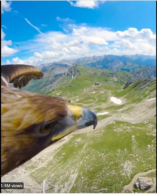 <div class="paragraphs"><p>Source: Screengrab from the video shared by&nbsp;<a href="https://twitter.com/anandmahindra">@anandmahindra</a></p></div>