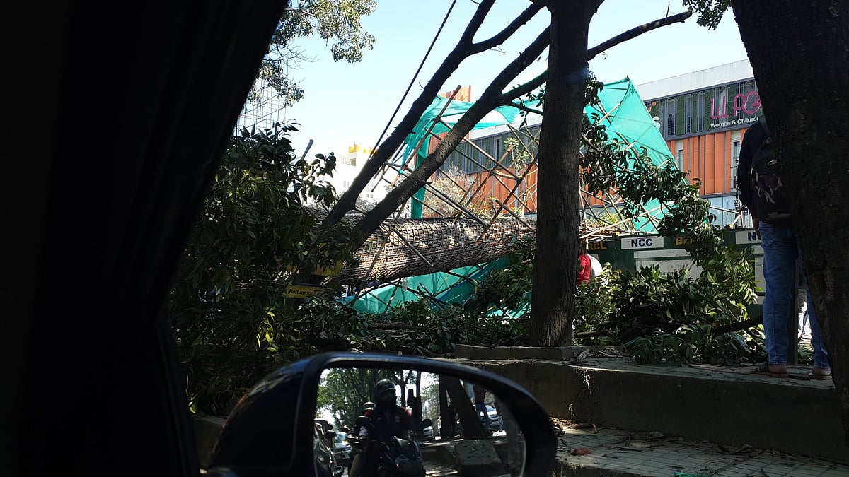 <div class="paragraphs"><p>A visual of the Metro collapse. (Source: Pratiba Raman) </p></div>