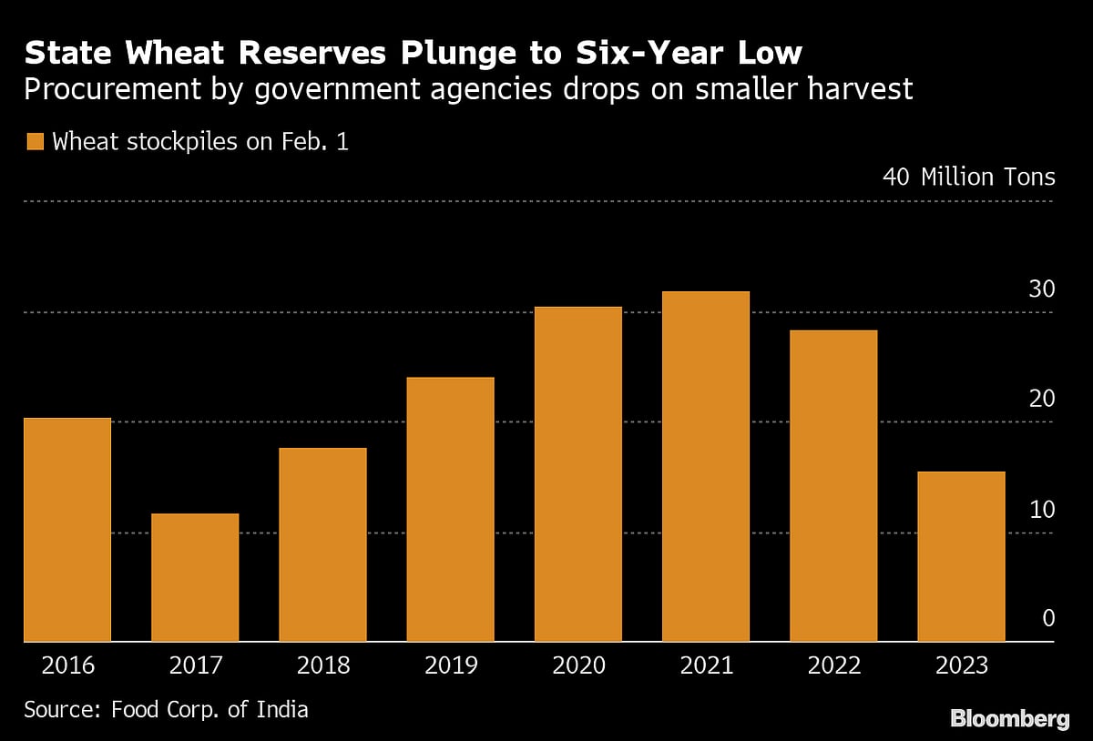 India Guards Wheat Crop After Extreme Heat Scorched Fields Last Year