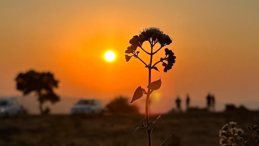 <div class="paragraphs"><p>Source: Vijay Sartape, BQ Prime</p></div>