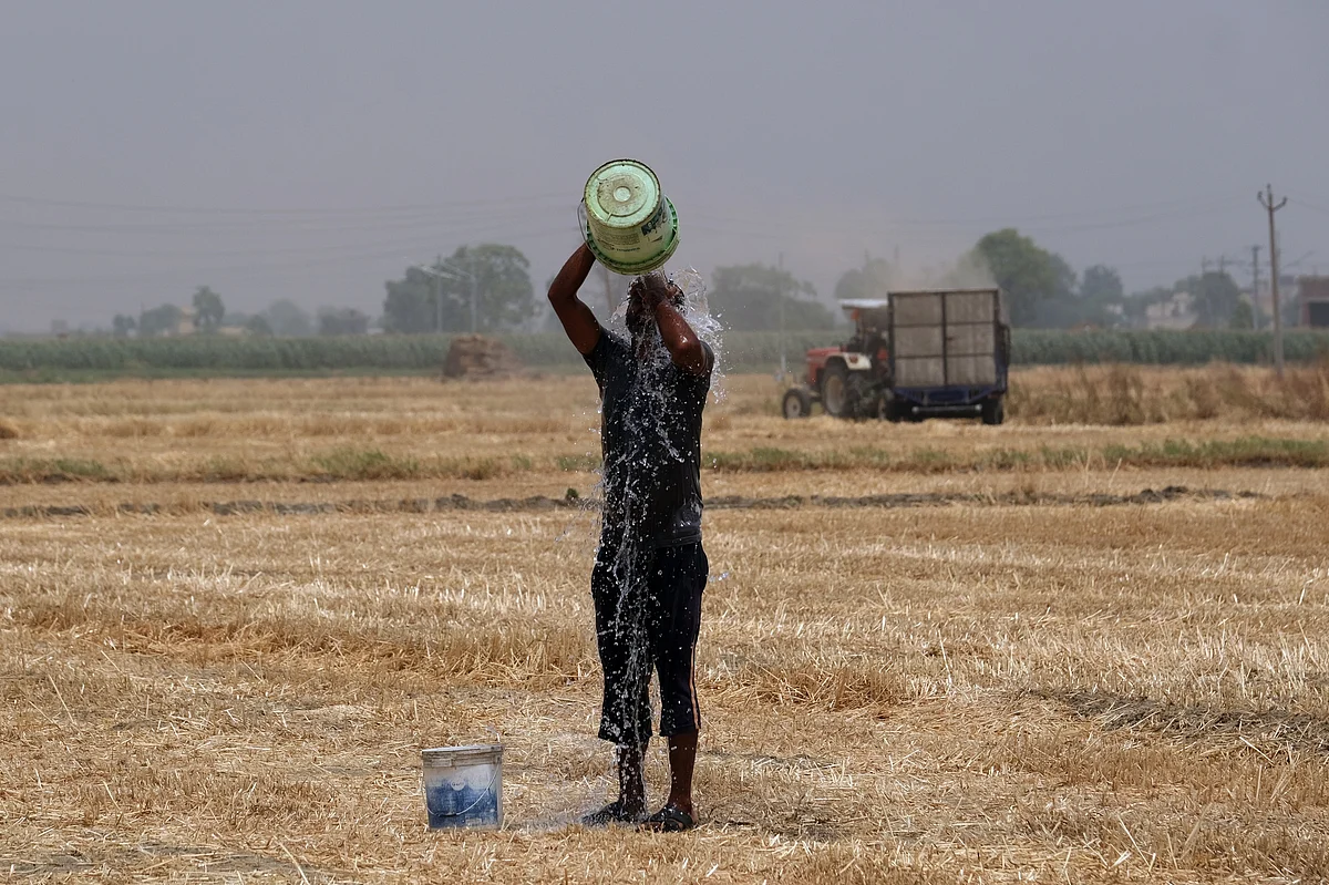 A farmer pours water on himself while working at a wheat farm in Punjab in India in May 2022. Photographer: T. Narayan/Bloomberg