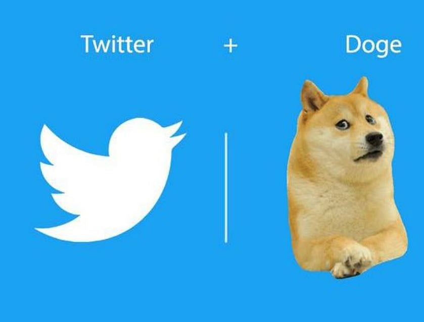 <div class="paragraphs"><p>Source: Twitter @TwitDogecoin</p></div>