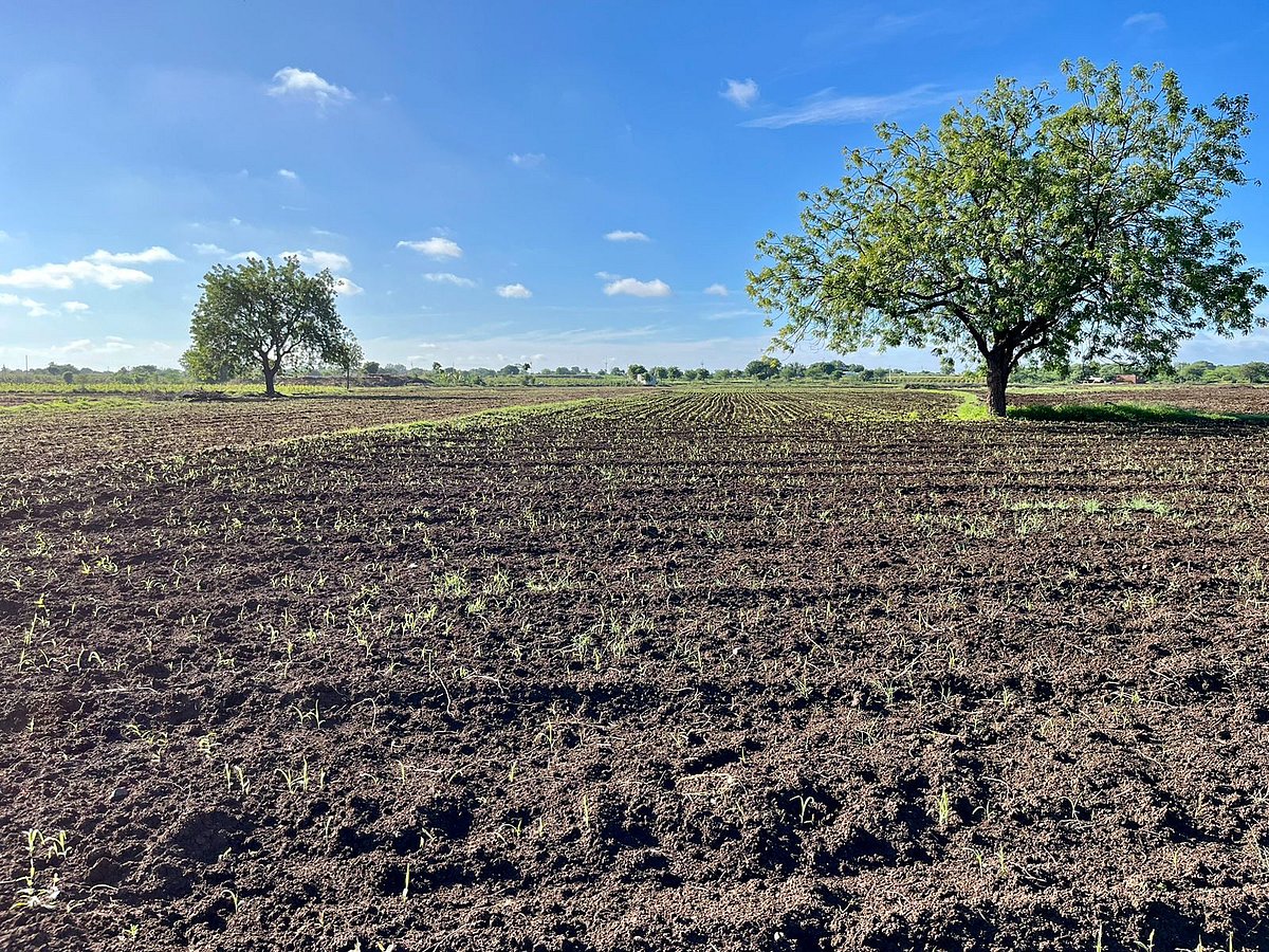 <div class="paragraphs"><p>An open field. (Source: Vijay Sartape/ BQ Prime)&nbsp;</p></div>