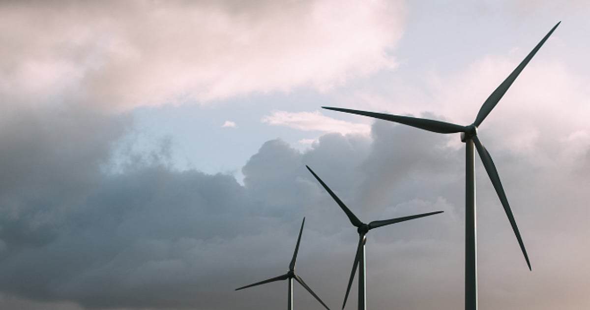 NTPC Green Energy IPO: Should You Invest Or Not?