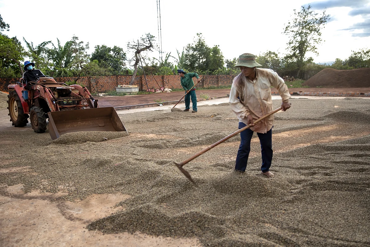 Workers spread coffee cherries in a village in Pleiku, Vietnam, earlier in January. Photographer: Maika Elan/Bloomberg